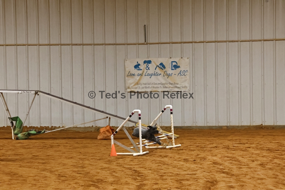 10.26.2025..-0145 .jpg