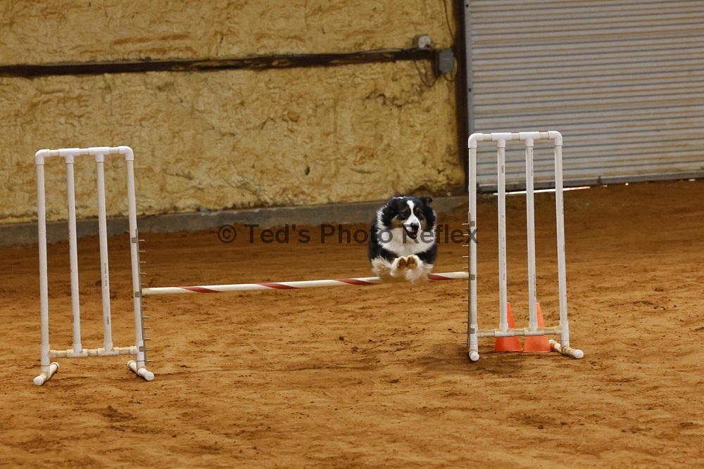 10.26.2025..-0163 .jpg