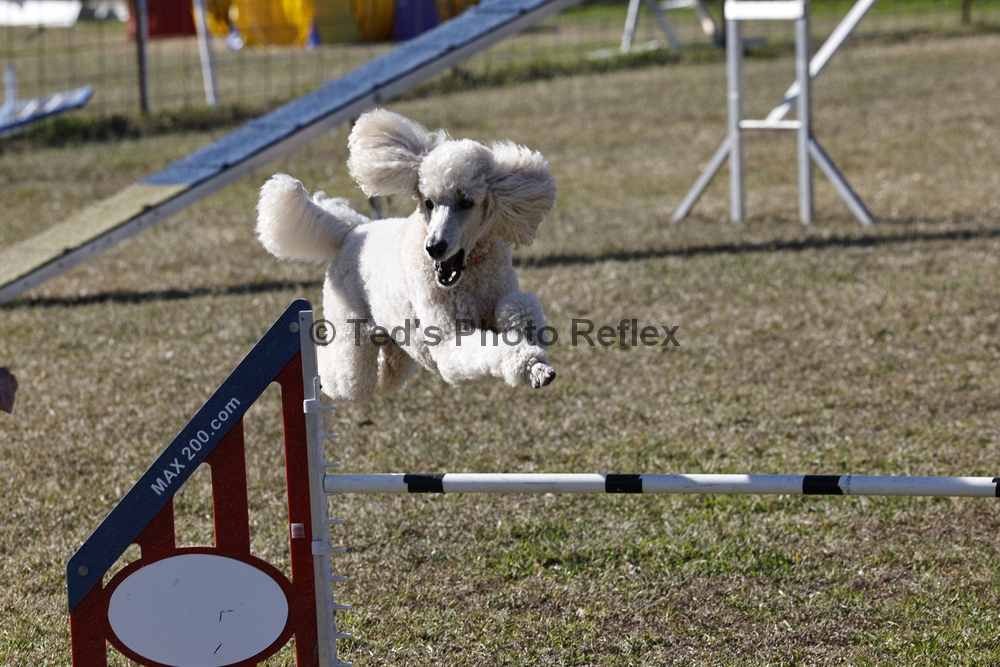 01.02.2026..-0164 .jpg