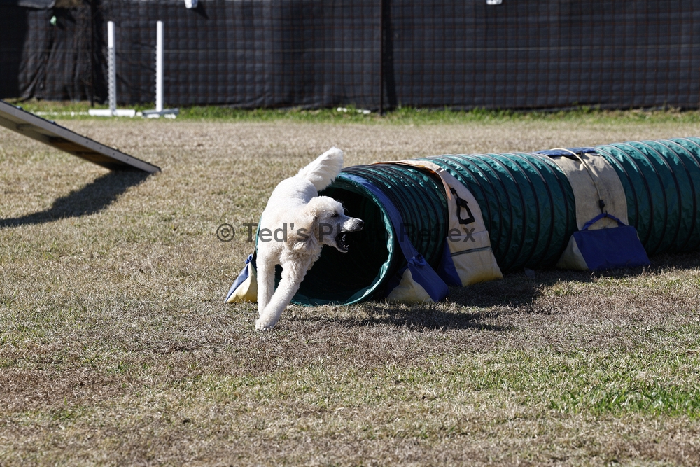 01.02.2026..-0169 .jpg