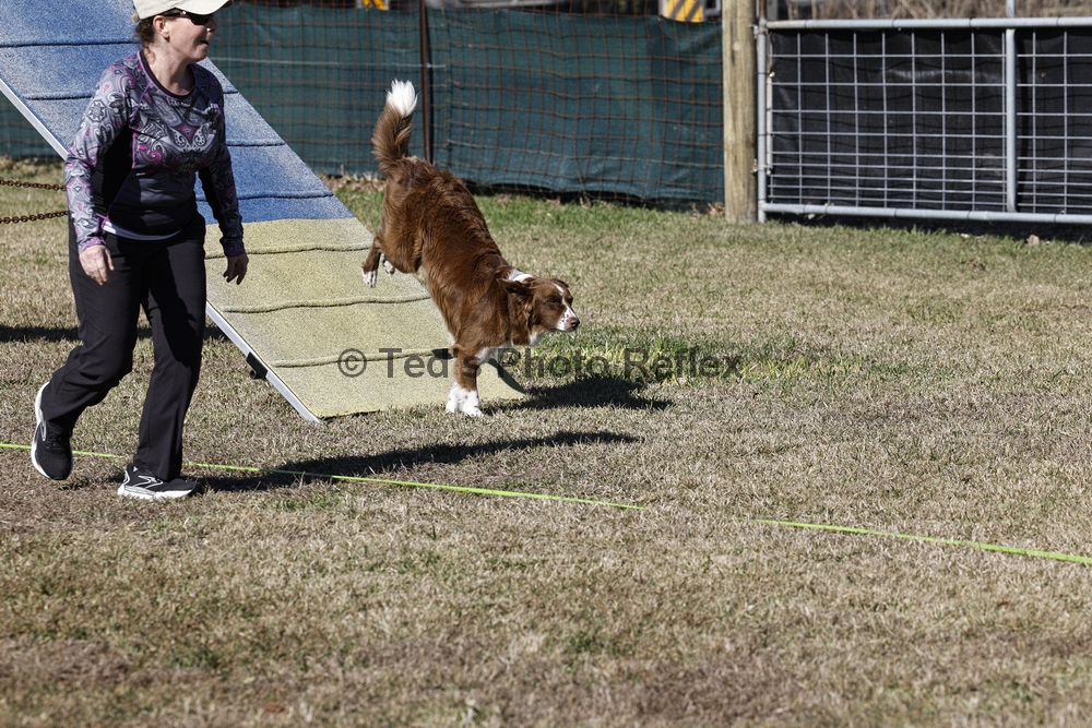 01.02.2026..-0195 .jpg