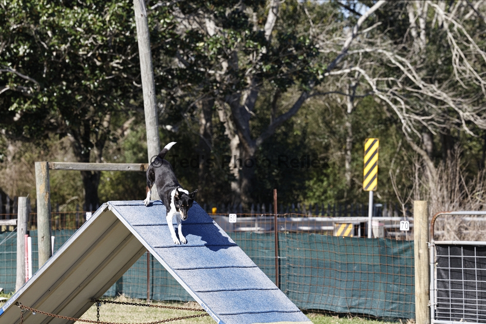 01.02.2026..-0221 .jpg