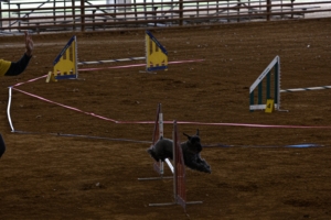 01.17.2026..-0060 .jpg