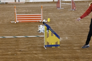 01.18.2026..-0016 .jpg