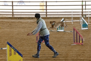 01.18.2026..-0456 .jpg