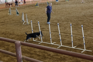 03.07.2026-0720 .jpg